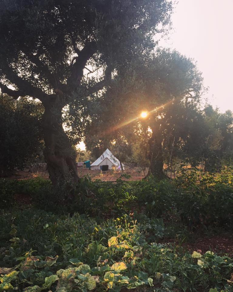 Agriturismo Voioro Morciano di Leuca Exterior photo